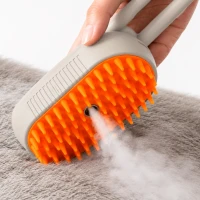 CEPILLO STEAM